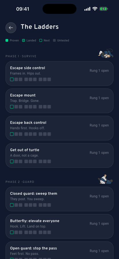The 9-level ladder board